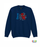 SpiderWeb-Red-Blue
